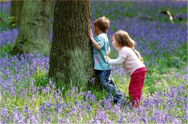 children-in-bluebell-wood2