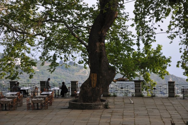 9280459541_ed2be464a6_k